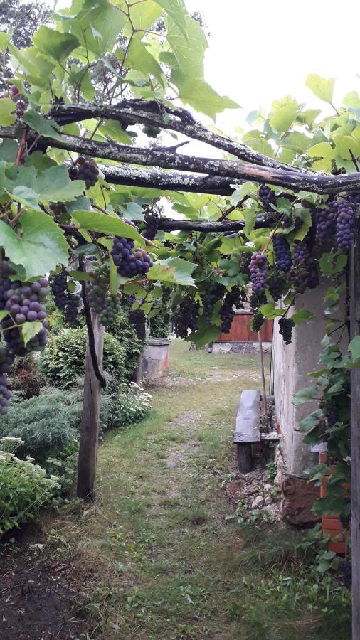 Idilliska Latgaliesu Lauku Maja Ar Melno Pirti Villa อักโลนา ภายนอก รูปภาพ