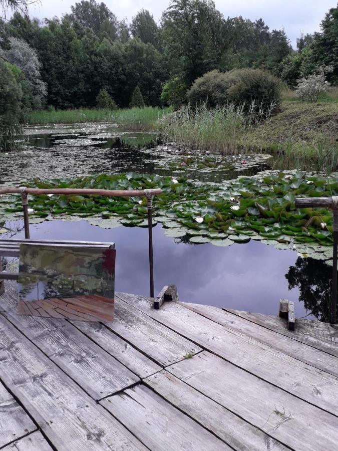 Idilliska Latgaliesu Lauku Maja Ar Melno Pirti Villa อักโลนา ภายนอก รูปภาพ