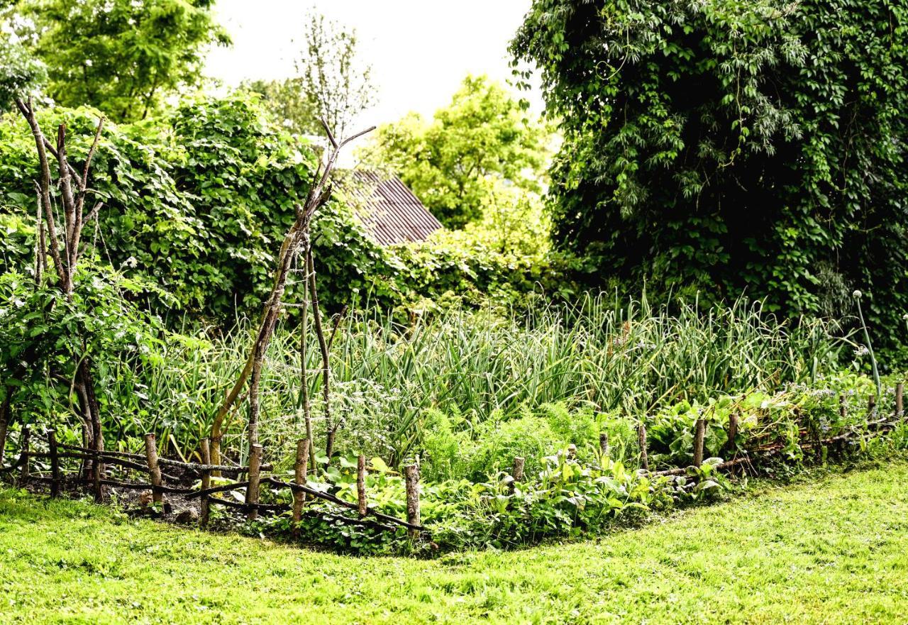 Idilliska Latgaliesu Lauku Maja Ar Melno Pirti Villa อักโลนา ภายนอก รูปภาพ