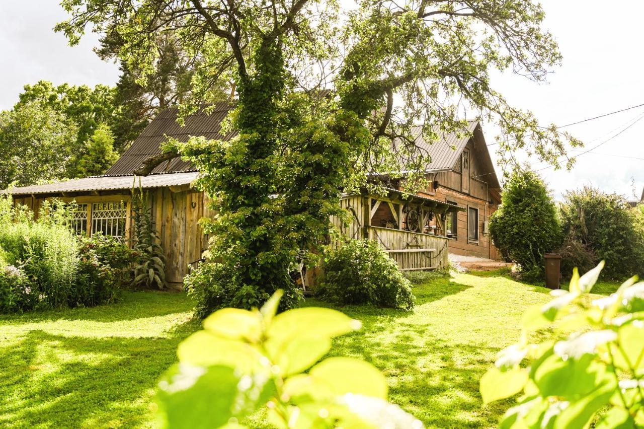 Idilliska Latgaliesu Lauku Maja Ar Melno Pirti Villa อักโลนา ภายนอก รูปภาพ